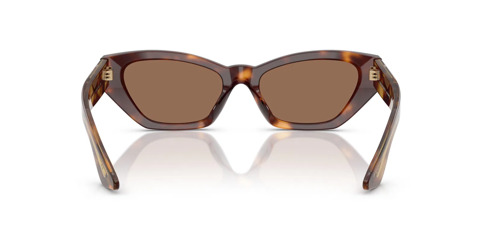 Oliver Peoples 1961c 5582SU Sunglasses - view 9